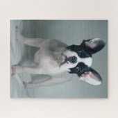 Niedliche Kleintiere | French Bulldog Puppy Puzzle (Horizontal)