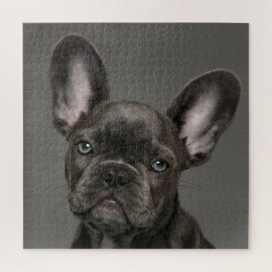Niedliche Kleintiere French Bulldog Puzzle