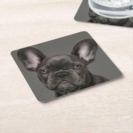 Niedliche Kleintiere | French Bulldog Rechteckiger Pappuntersetzer (angewinkelt)