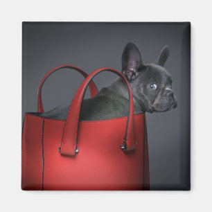 Niedliche Kleintiere French Bulldog Red Hand Bag Magnet