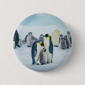 Niedliche Kleintiere | Fütternd Baby Pinguin Button (Vorderseite)