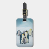 Niedliche Kleintiere | Fütternd Baby Pinguin Gepäckanhänger (Vorderseite vertikal)