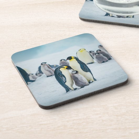 Niedliche Kleintiere | Fütternd Baby Pinguin Getränkeuntersetzer (Linke Seite)