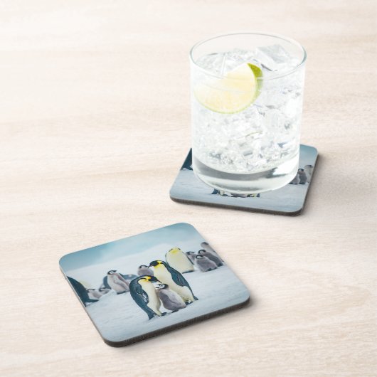 Niedliche Kleintiere | Fütternd Baby Pinguin Getränkeuntersetzer (Rechte Seite)