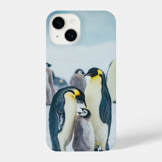 Niedliche Kleintiere | Fütternd Baby Pinguin iPhone Hülle (Rückseite)