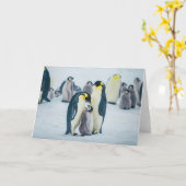 Niedliche Kleintiere | Fütternd Baby Pinguin Karte (Gelbe Blume)