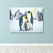 Niedliche Kleintiere | Fütternd Baby Pinguin Leinwanddruck (Insitu (Holzboden))