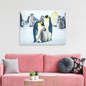 Niedliche Kleintiere | Fütternd Baby Pinguin Leinwanddruck (Insitu (Wohnzimmer))