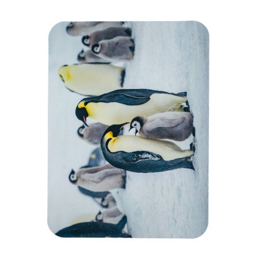 Niedliche Kleintiere | Fütternd Baby Pinguin Magnet (Vertikal)