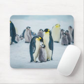 Niedliche Kleintiere | Fütternd Baby Pinguin Mousepad (Mit Mouse)
