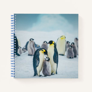 Niedliche Kleintiere Fütternd Baby Pinguin Notizblock