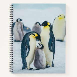 Niedliche Kleintiere Fütternd Baby Pinguin Notizblock