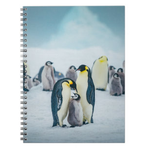 Niedliche Kleintiere Fütternd Baby Pinguin Notizblock