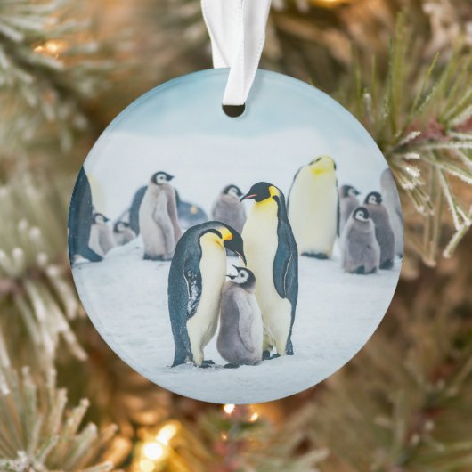 Niedliche Kleintiere | Fütternd Baby Pinguin Ornament (Baum)