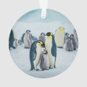 Niedliche Kleintiere | Fütternd Baby Pinguin Ornament (Rückseite)