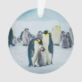 Niedliche Kleintiere | Fütternd Baby Pinguin Ornament (Vorderseite)