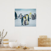 Niedliche Kleintiere | Fütternd Baby Pinguin Poster (Küche)