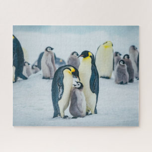 Niedliche Kleintiere   Fütternd Baby Pinguin Puzzle