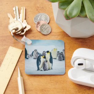Niedliche Kleintiere   Fütternd Baby Pinguin Schlüsselanhänger