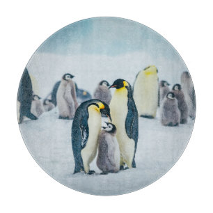 Niedliche Kleintiere Fütternd Baby Pinguin Schneidebrett