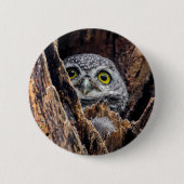 Niedliche Kleintiere | Gepunktete Owlet Button (Vorderseite)