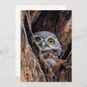 Niedliche Kleintiere | Gepunktete Owlet Dankeskarte (Vorne/Hinten)