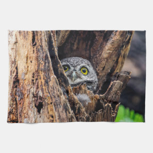 Niedliche Kleintiere Gepunktete Owlet Geschirrtuch