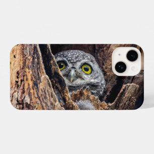 Niedliche Kleintiere   Gepunktete Owlet iPhone 14 Hülle