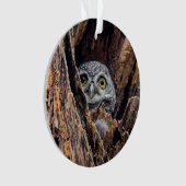 Niedliche Kleintiere | Gepunktete Owlet Ornament (Vorderseite)