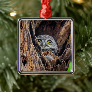 Niedliche Kleintiere Gepunktete Owlet Ornament Aus Metall
