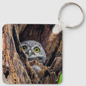 Niedliche Kleintiere | Gepunktete Owlet Schlüsselanhänger (Rückseite)