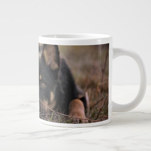Niedliche Kleintiere | German Shepherd Puppy Jumbo-Tasse (Rechts)
