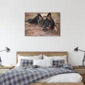 Niedliche Kleintiere | German Shepherd Puppy Leinwanddruck (Insitu (Schlafzimmer))