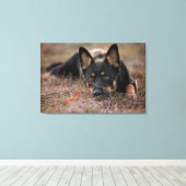 Niedliche Kleintiere | German Shepherd Puppy Leinwanddruck (Insitu (Holzboden))
