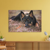 Niedliche Kleintiere | German Shepherd Puppy Leinwanddruck (Insitu (Wohnzimmer))