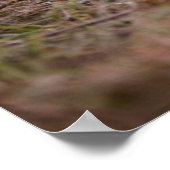 Niedliche Kleintiere | German Shepherd Puppy Poster (Ecke)