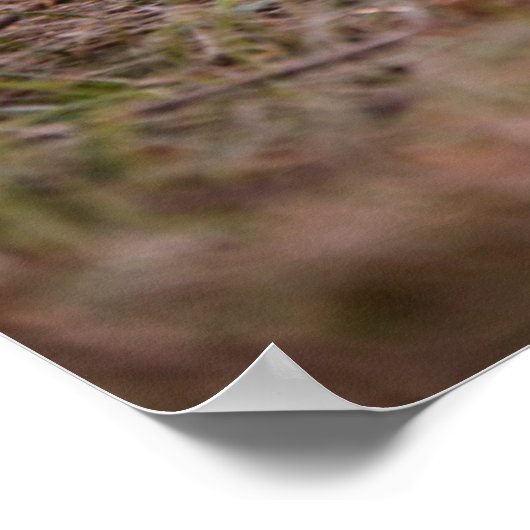 Niedliche Kleintiere | German Shepherd Puppy Poster (Ecke)