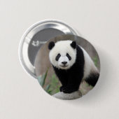 Niedliche Kleintiere | Giant Panda Baby Button (Vorne & Hinten)