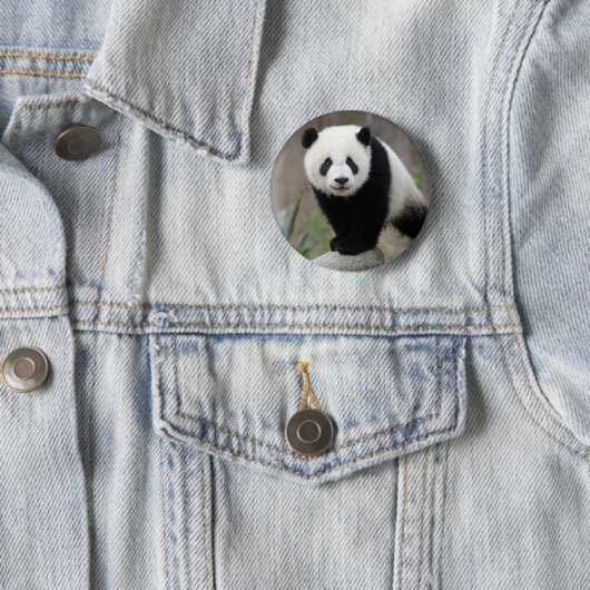 Niedliche Kleintiere | Giant Panda Baby Button (Beispiel)