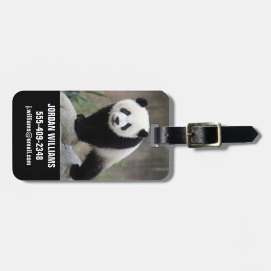 Niedliche Kleintiere | Giant Panda Baby Gepäckanhänger (Vorderseite horizontal)