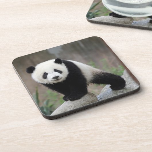 Niedliche Kleintiere | Giant Panda Baby Getränkeuntersetzer (Linke Seite)