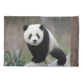 Niedliche Kleintiere | Giant Panda Baby Kissenbezug (Rückseite)