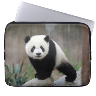 Niedliche Kleintiere Giant Panda Baby Laptopschutzhülle