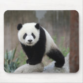 Niedliche Kleintiere | Giant Panda Baby Mousepad (Vorne)