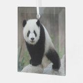 Niedliche Kleintiere | Giant Panda Baby Ornament Aus Glas (Vorderseite links)