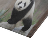Niedliche Kleintiere | Giant Panda Baby Schneidebrett (Ecke)