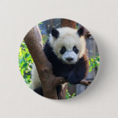 Niedliche Kleintiere | Giant Panda Cub Button (Vorderseite)