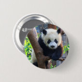 Niedliche Kleintiere | Giant Panda Cub Button (Vorne & Hinten)