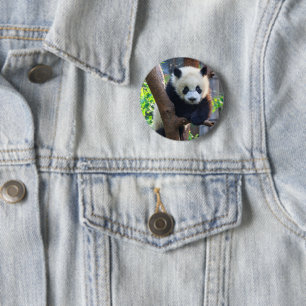 Niedliche Kleintiere   Giant Panda Cub Button
