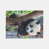 Niedliche Kleintiere | Giant Panda Cub Fleecedecke (Vorderseite (Horizontal))